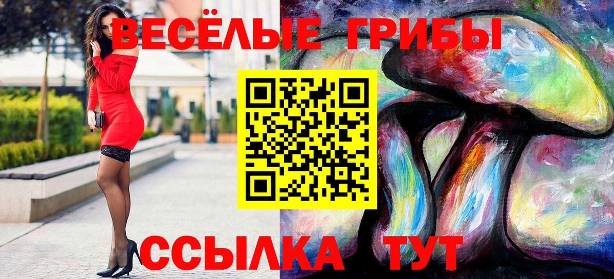 Псилоцибиновые грибы GOLDEN TEACHER Краснокамск